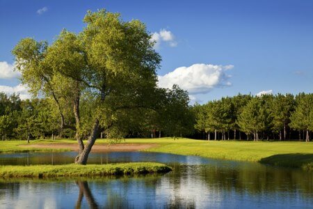 A sunny day looking out over a small body of water. The sky is blue and a tree is on the left of the image.