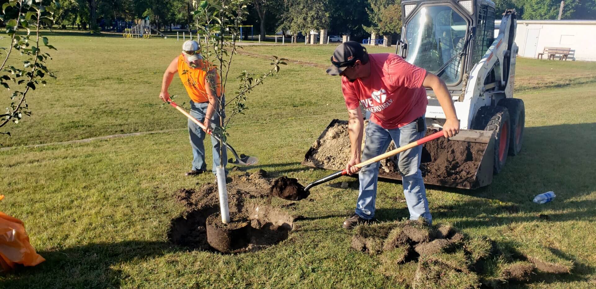Two men planting an apple tree with shovels.