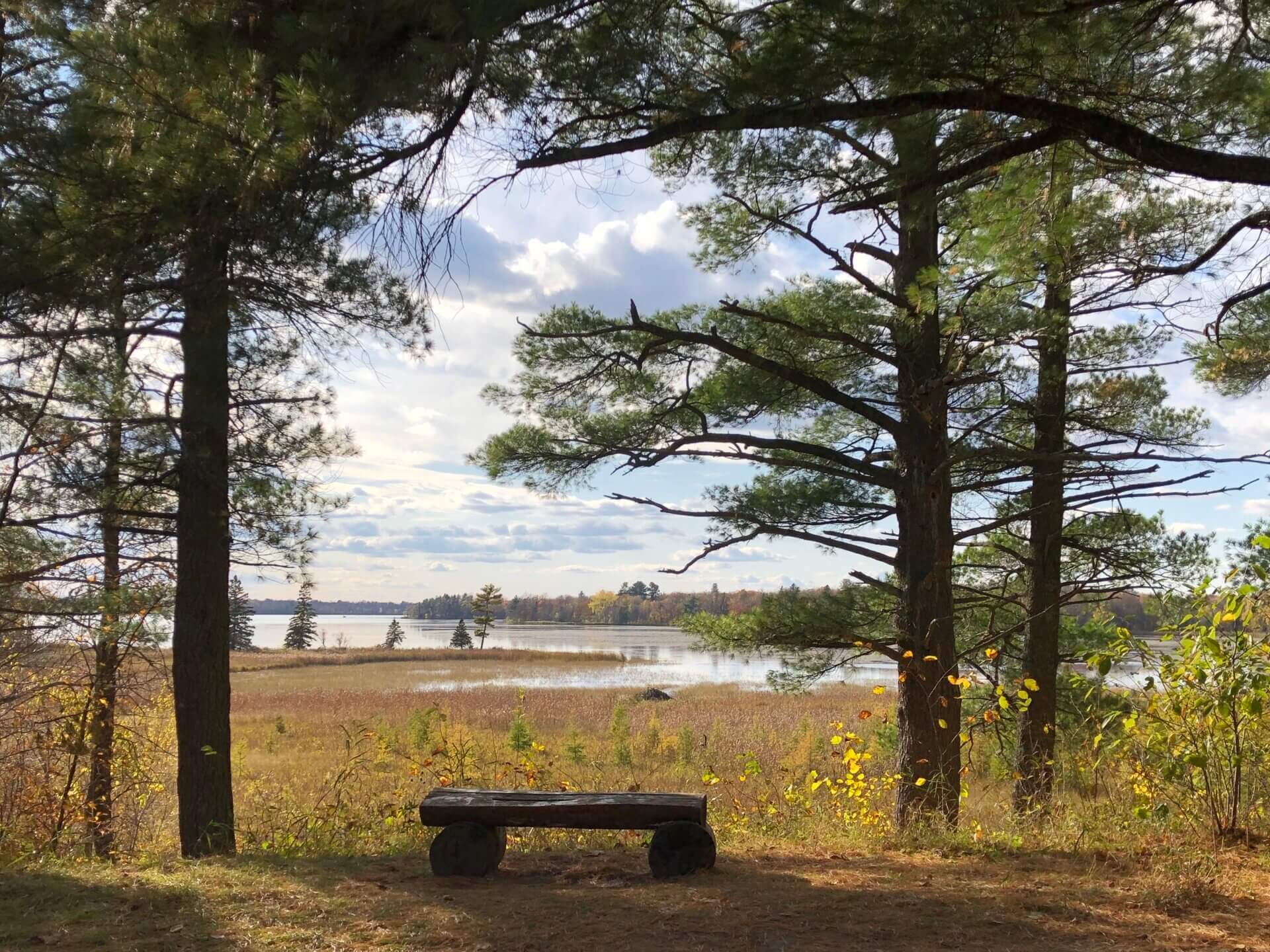 Log Bench at Pine Lake at Tamarac Refuge by Kelly Blackledge