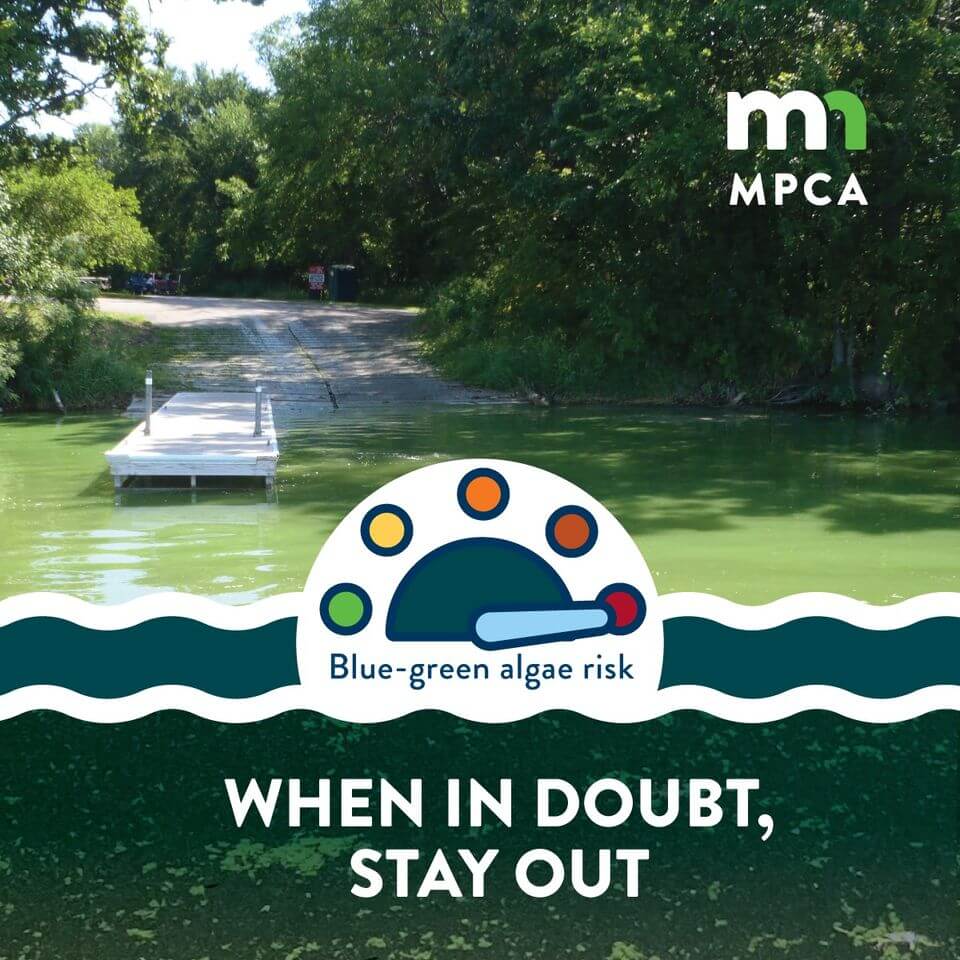 Harmful Algae Blooms: What to Look For(ward to) 