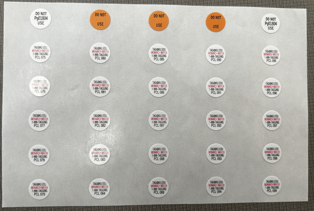 Many monarch tags on a sheet of paper