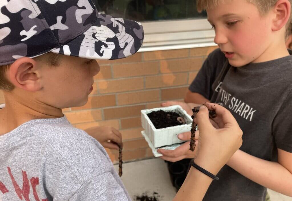 Two boys looking at worms. A meeting at the Junior Gardening Club

