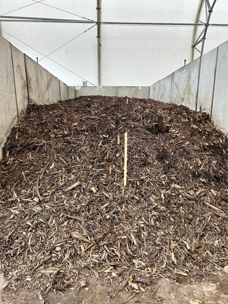 Pile of compost