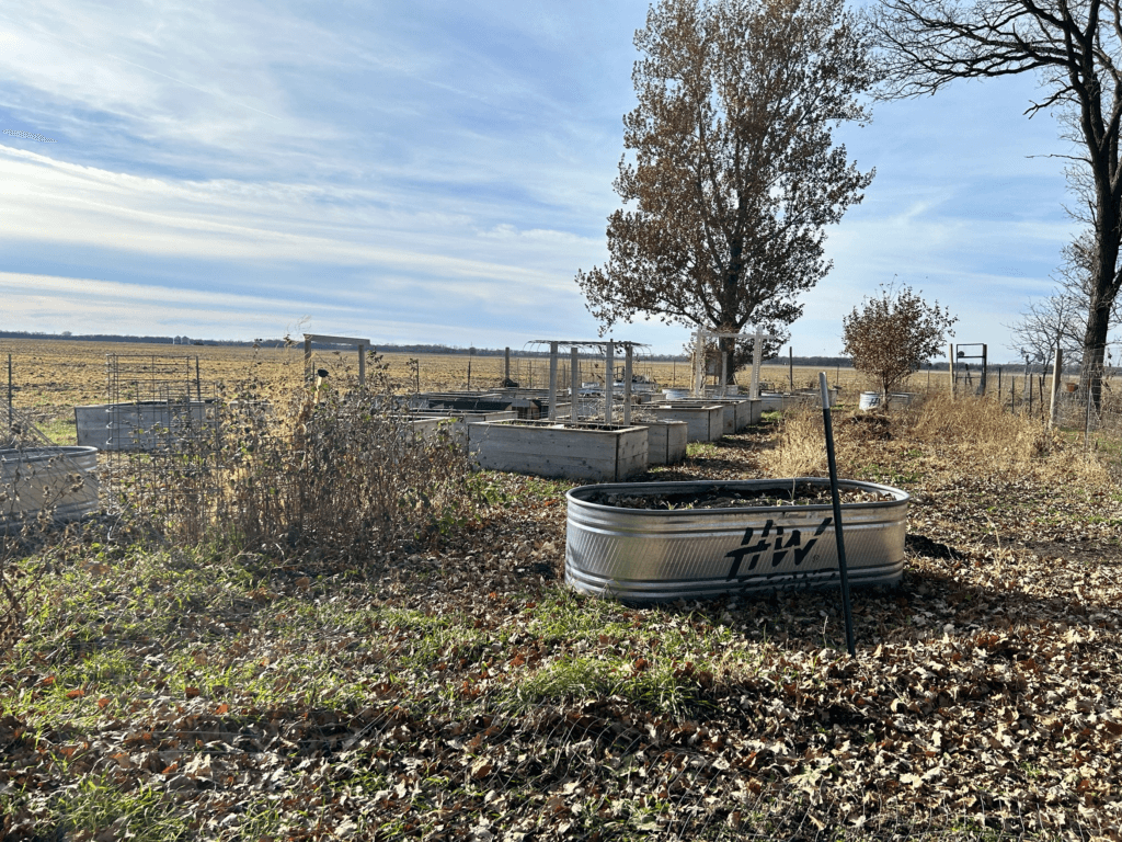 plot of garden