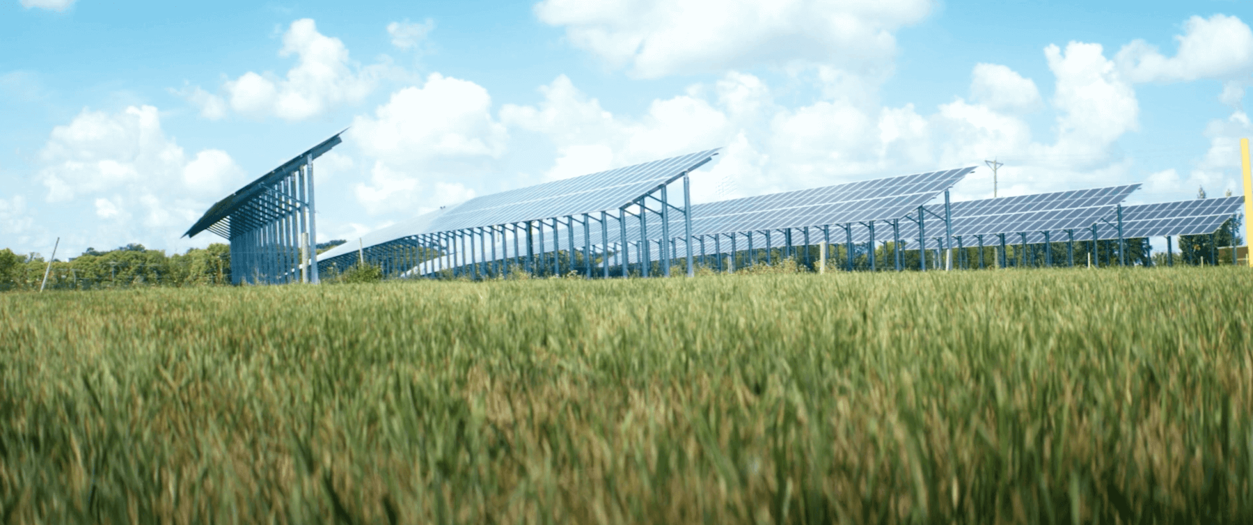 Solar Panels, Field