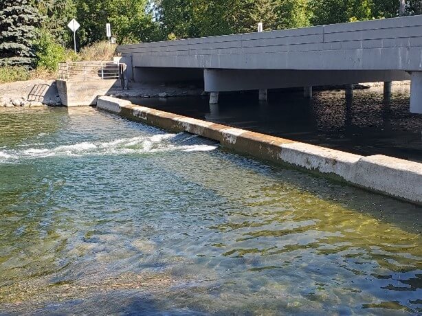 Otter Tail River before rock arch rapids installation (Courtesy Luther Aadland)