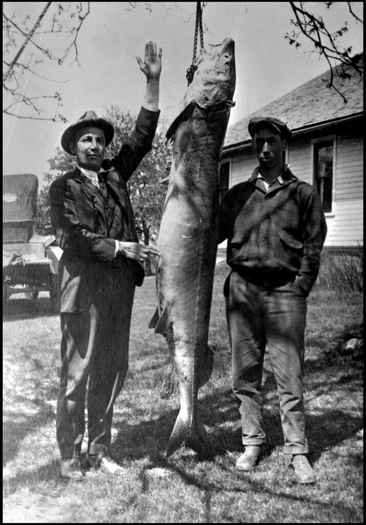Lake Sturgeon 1926