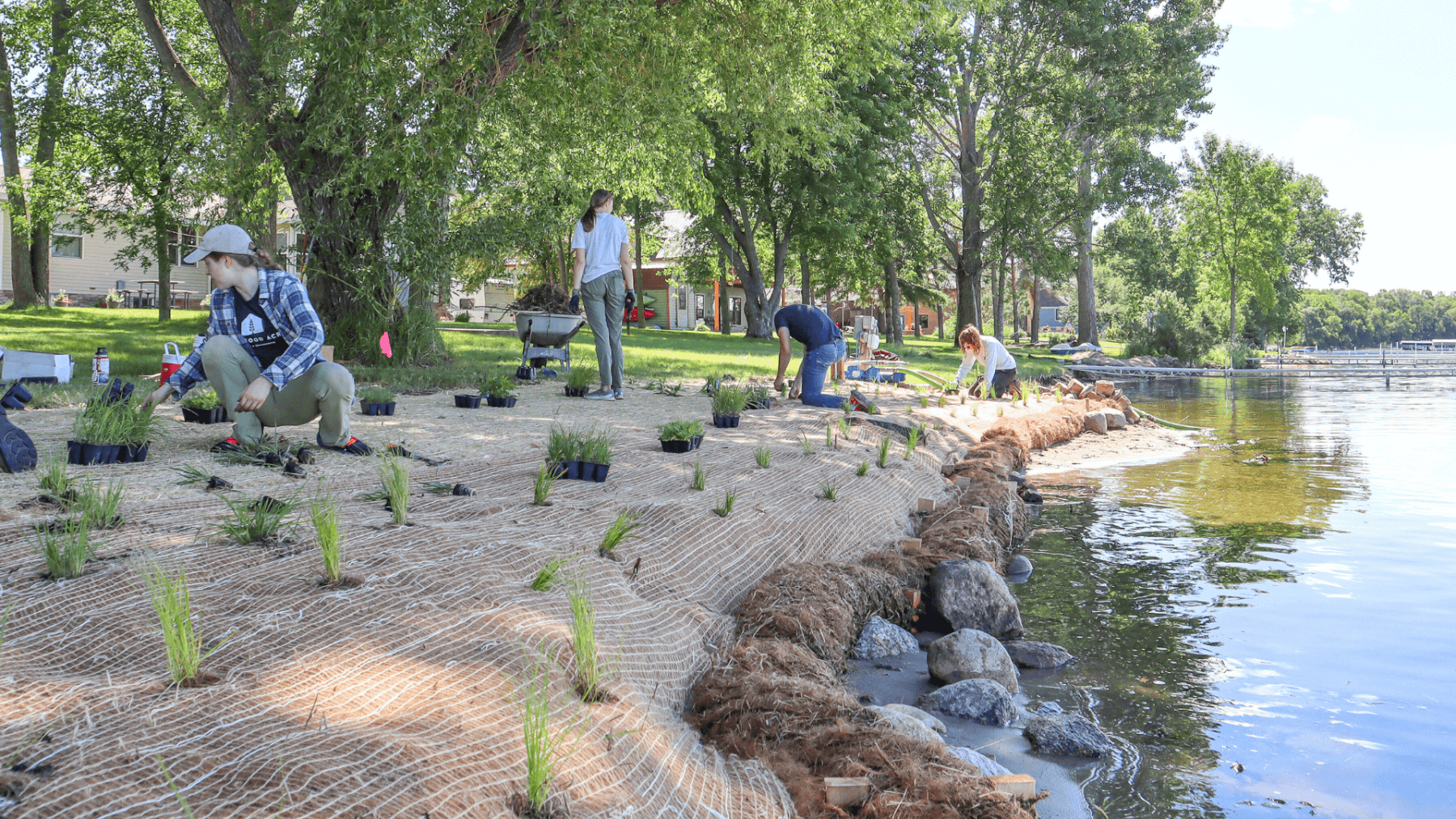 Shoreline Resoration