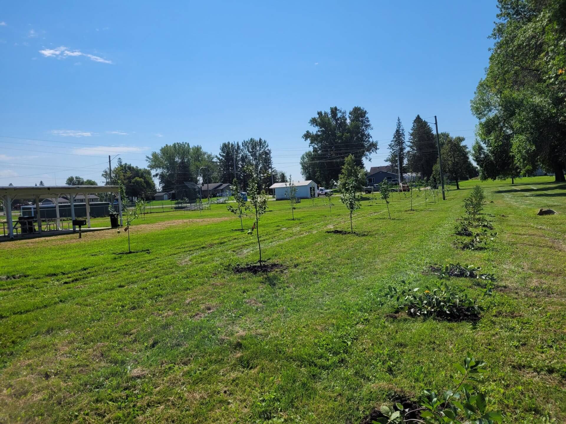 Food Forest